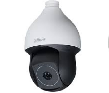 DH-TPC-SD5300-TA19 Thermal Network Dome Camera